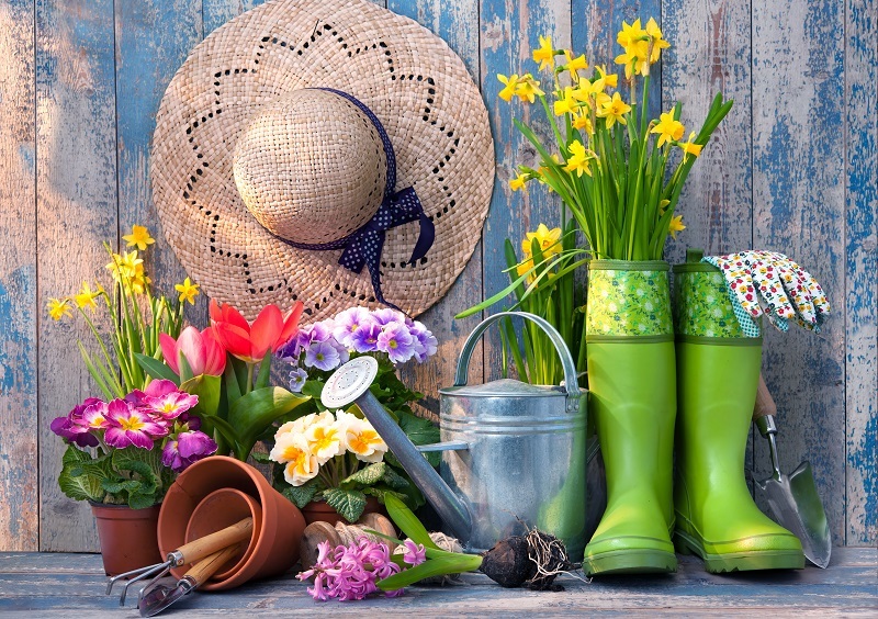 flowers  / over flowers 