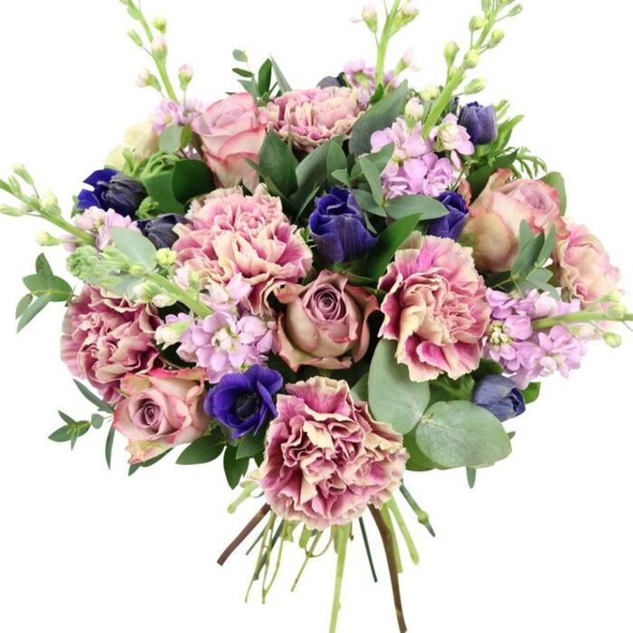 A sophisticated, hand-tied bouquet is captured against a bright white background, giving it the calm clarity of a studio portrait crafted by experienced Mottingham florists. At the centre, large garden roses in soft blush, dusty pink, and antique mauve unfold in concentric layers, their velvety petals suggesting both luxury and tenderness. Encircling these roses, full, ruffled carnations provide volume and movement, with creamy and pale blush centres that deepen gradually into richer rose and fuchsia tones along their frilly edges, adding a tactile, almost fabric-like texture. Breaking up the warm pink palette are intense accents of deep blue and indigo: several sleek, tulip-shaped buds and a showpiece royal blue anemone with a nearly black heart sit near the lower front, creating drama and visual depth, like the rich tones of evening skies above Mottingham's green spaces. Rising delicately between the larger heads, stems of pale lilac and lavender stock show off rows of small, clustered flowers that bring a touch of lightness, airiness, and an imagined whisper of sweet, spring-like fragrance. The arrangement is framed with abundant foliage-rounded, silvery eucalyptus leaves mingling with darker, glossy greenery-that both supports the structure and suggests cool, fresh aromas. At the bottom, the gathered stems are visible and neatly tied, clearly marking this as a freshly prepared bouquet, ready for local flower delivery across Mottingham. The overall impression is one of quiet elegance and heartfelt emotion, perfect for weddings, anniversaries, or any meaningful occasion where you want to share beauty and comfort within the community.