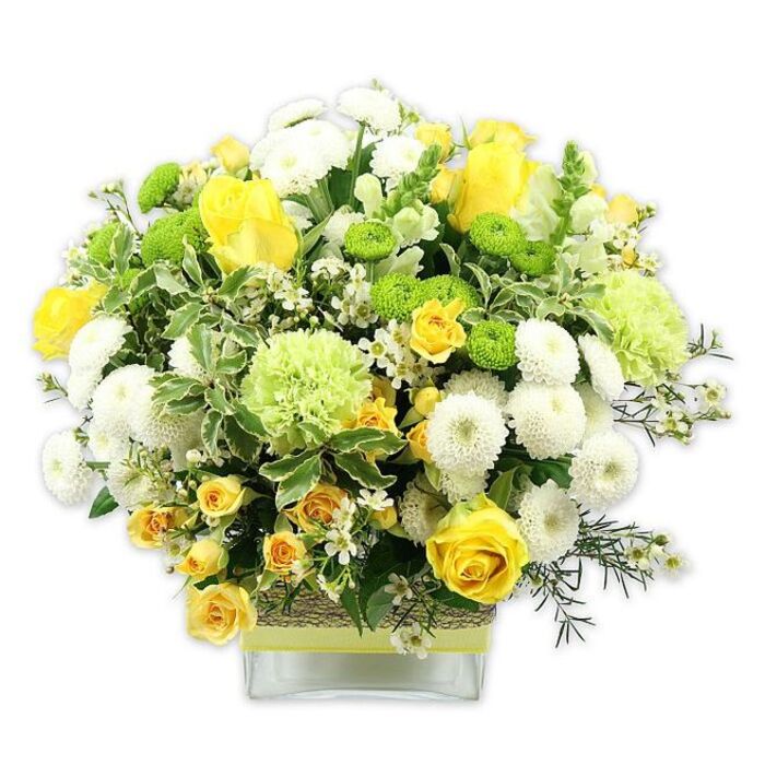 A lush, dome-shaped floral arrangement sits in a low, square glass vase, its colours glowing in a harmonious palette of cheerful yellows, crisp whites, and vibrant greens, all set against a pristine white background. At the heart of the display are classic yellow roses, their layered petals opening in generous spirals, paired with smaller yellow spray roses that cluster along slender stems, adding intricacy and a sense of abundance. Nestled among them are numerous white pompom chrysanthemums, their spherical, densely petalled blooms forming soft cushions that contrast beautifully with the smooth rose petals. Dotted throughout the design are bright lime green button chrysanthemums, tiny globes that punctuate the arrangement with lively colour. Larger, softly ruffled pale green blooms, evoking green carnations or specialist green chrysanthemum varieties, lend a subtle, frilly texture, rounding out the bouquet's fullness. Interspersed are airy white filler flowers, similar to miniature daisies or gypsophila, which introduce a delicate, starlike pattern and keep the composition from feeling heavy. The flowers are cradled in a selection of greenery, including feathery foliage, deep green leaves, and bold variegated leaves edged in creamy white, adding structure and enhancing the bouquet's fresh, garden-inspired look. Through the clear glass of the vase, the stems can be seen neatly aligned, while the vase itself is wrapped at its centre in a band of rustic, woven natural material, topped with a smooth lime green ribbon that mirrors the vivid green blooms. The arrangement feels like a pocket of sunshine that might sit on a kitchen table in Mottingham, near Mottingham Road or adjacent to the green spaces around Eltham College. It's a design that would suit birthdays, thank-you gestures, housewarmings, or any moment when a Mottingham florist's bright, fresh arrangement can bring joy indoors.