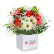 Brimming with the gentle happiness of a Mottingham springtime, this bouquet offers a bright celebration of floral artistry in a crisp white gift bag. Each element speaks of local care: ruffled carnations in peach, coral, and vivid red unfold alongside brilliant white daisies with sparkling yellow-green hearts, reminiscent of peaceful moments in Mottingham's woodlands. Wisps of baby's breath dance airily between larger blooms, their delicate, cloud-like appearance lending an innocent charm. On the left, a few purple-tinged buds whisper of new life and the ongoing cycles of bloom so familiar to residents wandering through Chinbrook Meadows. Glossy, deep green leaves sweep around the bouquet in graceful unity, shaping a lush and rounded form. Soft, even lighting sets the stage for the flowers' fresh allure, highlighting every texture and hue against the flawless white background. This bouquet's joyful presence is perfect for marking birthdays, congratulating neighbours, or sharing an uplifting surprise with someone in Mottingham, reflecting the community spirit and florist expertise found just moments from your doorstep.