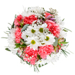 This Mottingham bouquet radiates the joyful energy of spring, meticulously arranged to reflect the vibrant, welcoming spirit of local homes. At its center, crisp white daisies shine with green-centered innocence, surrounded by flouncy coral-pink carnations whose ruffles add inviting warmth. Airy baby's breath flutters between the blossoms, infusing the arrangement with a buoyant, nearly weightless quality akin to fresh breezes crossing Mottingham paths. Here and there, hints of blush-pink and gentle purple from alstroemeria or lily buds peek amid the florals, offering layers of beauty and anticipation. Eucalyptus leaves, both silvery and matte, contribute aromatic depth and cool texture, while firmer greenery provides structure and continuity. The bouquet's balanced, circular shape is emblematic of the care taken by Mottingham florists-each flower thoughtfully placed to achieve harmony and abundance. Whether marking a birthday, commemorating a special milestone, or simply bringing Mottingham's floral elegance to the table, this arrangement embodies connection, celebration, and the artistry of finely curated local blooms.